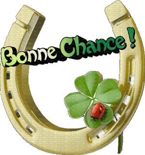 Gif animé bonne chance fer a cheval